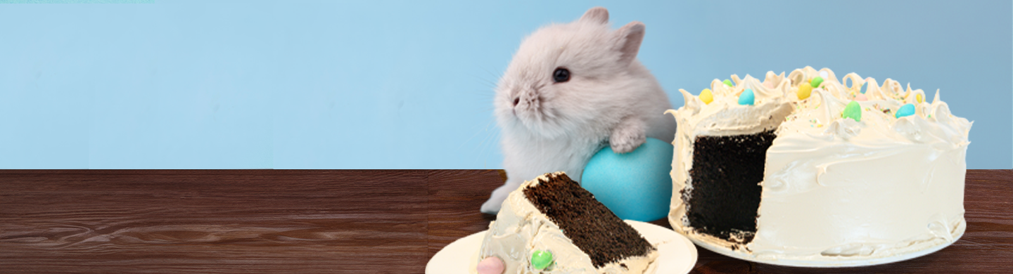 Easter Promo Image for cake contest