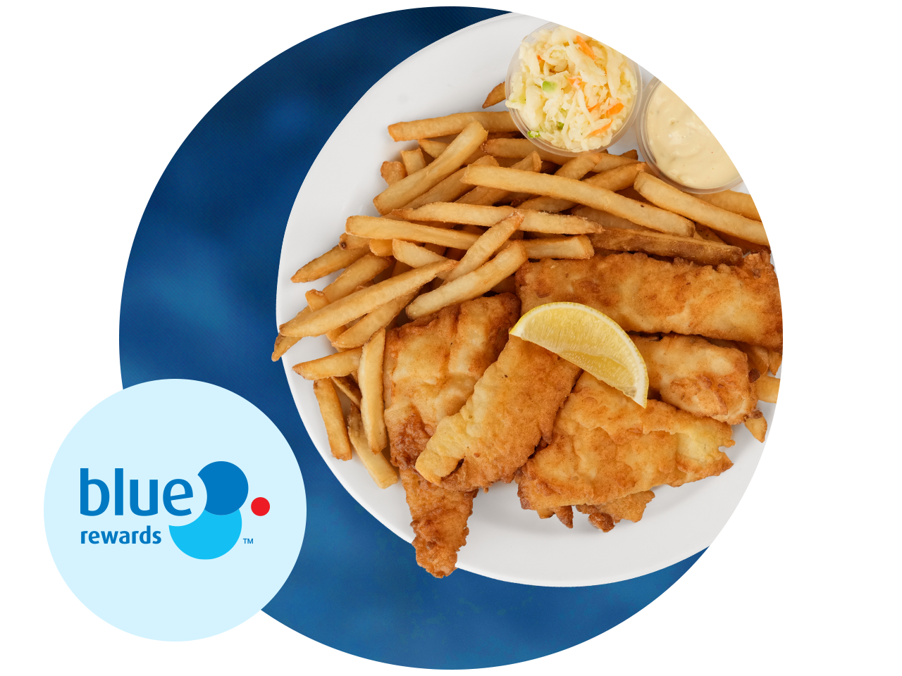 A fish Platter with Coleslaw and fries